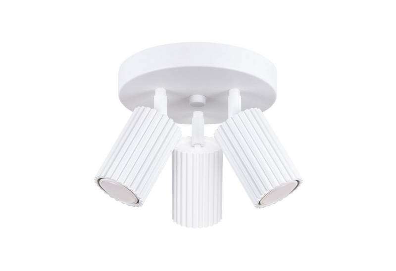 Licht-Erlebnisse Deckenstrahler BERTA, ohne Leuchtmittel, Aluminium verstellbar B: 19,5 cm Weiß GU10 3-flammig rund Modern Licht-Erlebnisse Deckenstrahler BERTA, ohne Leuchtmittel, Aluminium verstellbar B: 19,5 cm Weiß GU10 3-flammig rund Modern von Licht-Erlebnisse