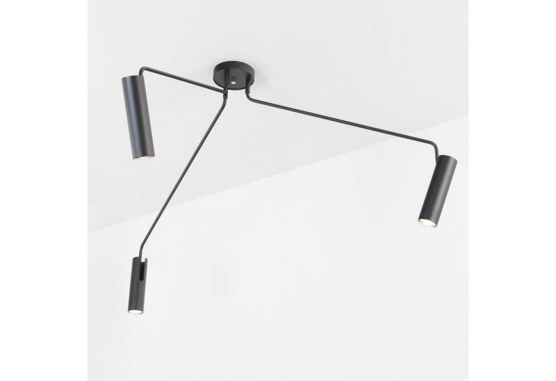 Licht-Erlebnisse Deckenstrahler EYE, ohne Leuchtmittel, Deckenlampe Spot Metall Schwarz schwenkbar Hängelampe Wohnzimmer Lampe von Licht-Erlebnisse