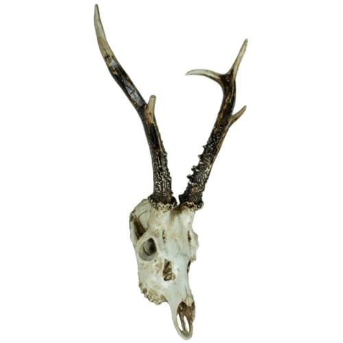 Licht-Erlebnisse Dekoschädel REH Design 39 cm breit Wandstatue Kopf Schädel Jagdtrophäe Wand Deko Skulptur Wohnzimmer Flur von Licht-Erlebnisse