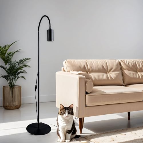 Licht-Erlebnisse Stehleuchte EYE Metall Schwarz Spot schwenkbar Flexarm H:114-153cm minimalistisch Kabelschalter GU10 für Wohnzimmer Schlafzimmer Leselampe Stehlampe von Licht-Erlebnisse