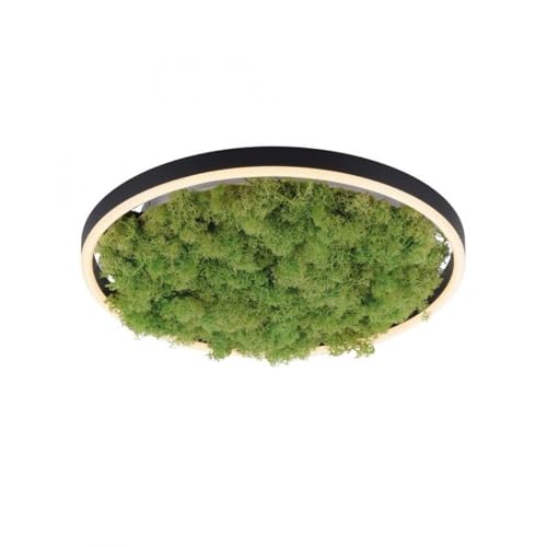 Licht-Erlebnisse LED Deckenlampe Moos Schwarz Wohnzimmer Schlafzimmer Ø39 cm rund warmweiß 3000 K 2650 lm feuchtigkeitsspendende Deckenleuchte dimmbar DARMIS von Licht-Erlebnisse