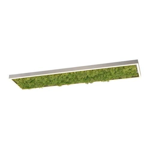 Licht-Erlebnisse LED Deckenleuchte Moos Wohnzimmer Schlafzimmer Esszimmer L:100 cm 3000 K warmweiß 3550 lm feuchtigkeitsspendende Deckenlampe dimmbar IVLORN von Licht-Erlebnisse