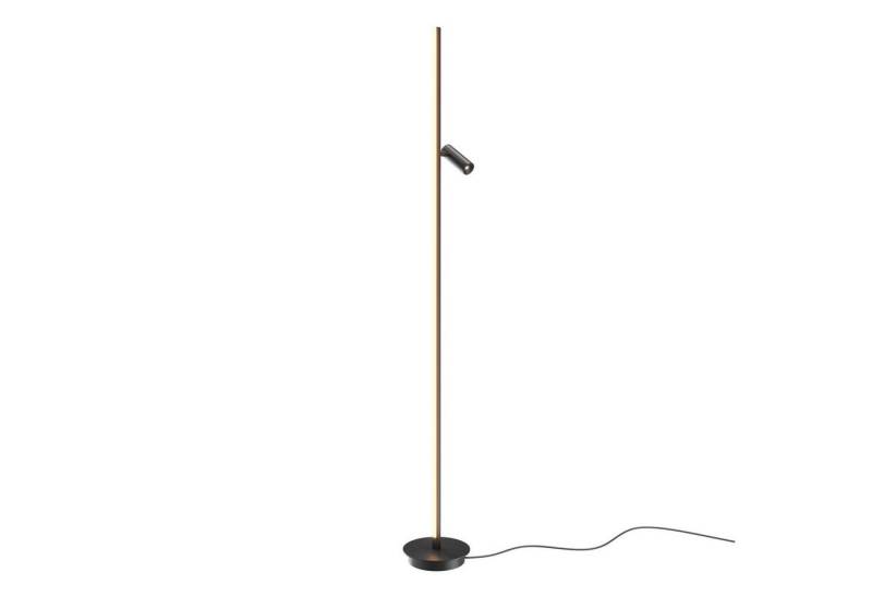 Licht-Erlebnisse Stehlampe GORIN, LED fest integriert, Warmweiß, LED Dimmer Metall Aluminium verstellbar 155 cm hoch Schwarz 800 lm Licht-Erlebnisse Stehlampe GORIN, LED fest integriert, Warmweiß, LED Dimmer Metall Aluminium verstellbar 155 cm hoch Schwarz 800 lm von Licht-Erlebnisse