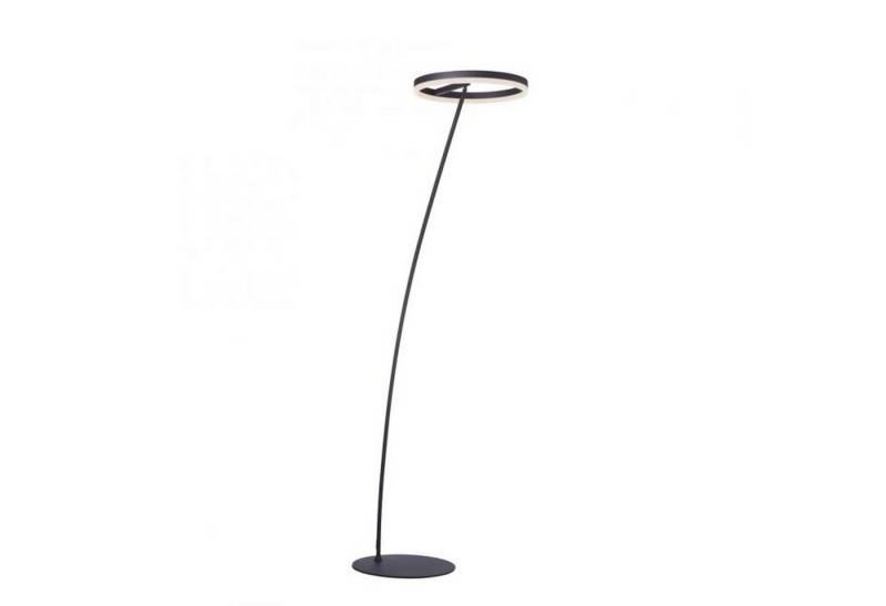 Licht-Erlebnisse Stehlampe UMUS, LED fest integriert, Warmweiß, LED mit Dimmer Metall verstellbar 215 cm Anthrazit 3000 K warmweiß Licht-Erlebnisse Stehlampe UMUS, LED fest integriert, Warmweiß, LED mit Dimmer Metall verstellbar 215 cm Anthrazit 3000 K warmweiß von Licht-Erlebnisse