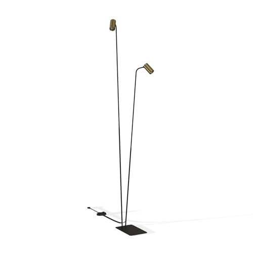 Licht-Erlebnisse Stehleuchte Schwarz Messing 212-216 cm Echt-Messing Metall 2-flammig GU10 verstellbare Schirme Modern innen Stehlampe Wohnzimmer von Licht-Erlebnisse