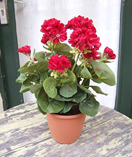 Künstliche Geranien bayrisch rot - 2 Stück sehr schön, naturgetreu Top-Qualität Kunstblumen Kunstpflanzen von Licht & Grün exclusive Kunstpflanzen