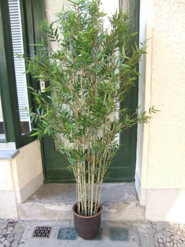 Künstlicher Oriental Bambus, 3522 Blätter, mit Naturbambus 1,85m Topqualität Künstlicher Bambus von Licht & Grün exclusive Kunstpflanzen