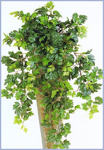 Licht & Grün exclusive Kunstpflanzen Künstliche Hängepflanze Grape Ivy, sehr natürlich von Licht & Grün exclusive Kunstpflanzen