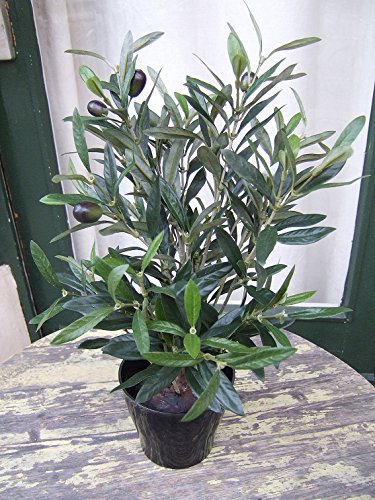 Künstliche Olive im Topf ca. 45cm Top Qualität Kunstpflanze von Licht & Grün exclusive Kunstpflanzen