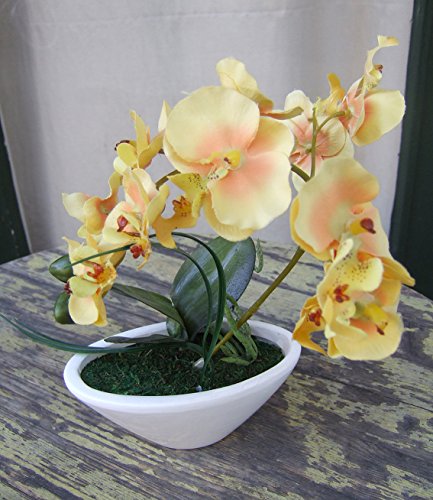 Licht & Grün exclusive Kunstpflanzen Künstliche Orchidee gelb im ovalen Gefäß ca.30cm von Licht & Grün exclusive Kunstpflanzen