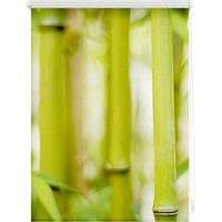 LICHTBLICK ORIGINAL Seitenzugrollo "Klemmfix Motiv Bambus", Lichtschutz, ohne Bohren, freihängend, bedruckt von Lichtblick Original