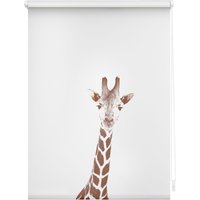 LICHTBLICK ORIGINAL Seitenzugrollo "Rollo Klemmfix, ohne Bohren, blickdicht, Giraffe - Braun", blickdicht, Sichtschutz-Blendschutz, freihängend von Lichtblick Original