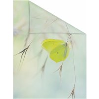LICHTBLICK ORIGINAL Fensterfolie "Schmetterling Grün", 1 St., blickdicht, strukturiertKlebepunkte von Lichtblick Original