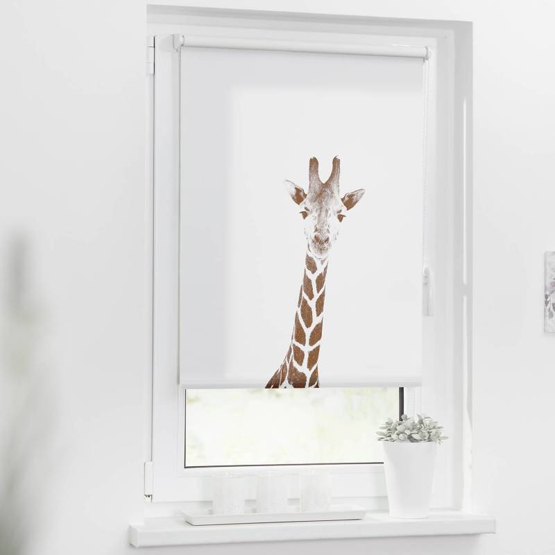 home24 Klemmfix Rollo Giraffe 120 x 150cm Braun von home24
