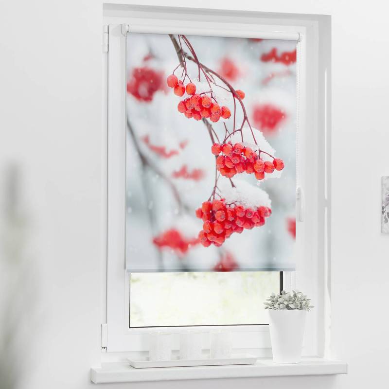 home24 Klemmfix-Rollo Vogelbeeren 60 x 150cm Rot von home24