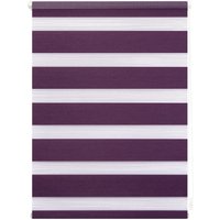 Duo-Rollo Klemmfix, ohne Bohren - Brombeer, 90 cm x 150 cm (B x L) von Lichtblick