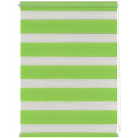 Duo-Rollo Klemmfix, ohne Bohren - Grün, 80 cm x 200 cm (B x L) von Lichtblick