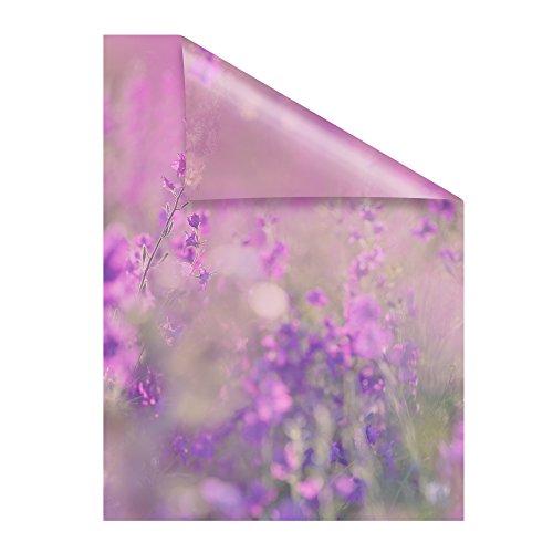 Lichtblick Fensterfolie selbstklebend mit Motiv, Sichtschutz, merhfach Ablösbar, Montage ohne Rakel, Made in Germany Blumenwiese - Violett 100 x 100 cm (B x L) von Lichtblick