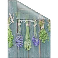 Lichtblick Fensterfolie, Polyvinylchlorid (PVC), Format: 100 x 100 cm (B x L) cm - gruen von Lichtblick