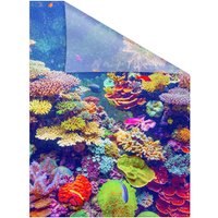 Lichtblick Fensterfolie, Polyvinylchlorid (PVC), Format: 100 x 130 cm (B x L) cm - bunt von Lichtblick