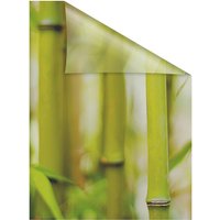 Lichtblick Fensterfolie, Polyvinylchlorid (PVC), Format: 100 x 130 cm (B x L) cm - gruen von Lichtblick