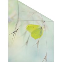 Lichtblick Fensterfolie, Polyvinylchlorid (PVC), Format: 100 x 180 cm (B x L) cm - gruen von Lichtblick