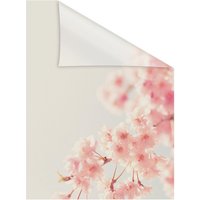 Lichtblick Fensterfolie, Polyvinylchlorid (PVC), Format: 100 x 180 cm (B x L) cm - orange von Lichtblick