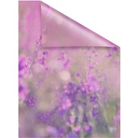Lichtblick Fensterfolie, Polyvinylchlorid (PVC), Format: 50 x 100 cm (B x L) cm - lila von Lichtblick
