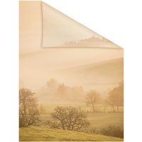 Lichtblick Fensterfolie, Polyvinylchlorid (PVC), Format: 50 x 100 cm (B x L) cm - orange von Lichtblick