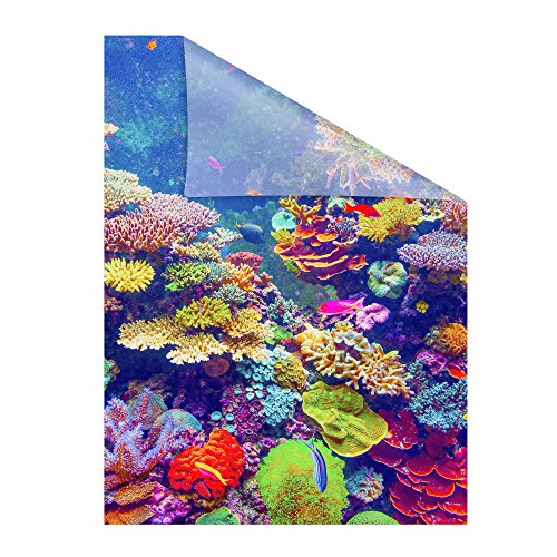 Lichtblick Fensterfolie selbstklebend mit Motiv, Sichtschutz, merhfach Ablösbar, Montage ohne Rakel, Made in Germany Aquarium - Bunt 100 x 130 cm (B x L) von Lichtblick