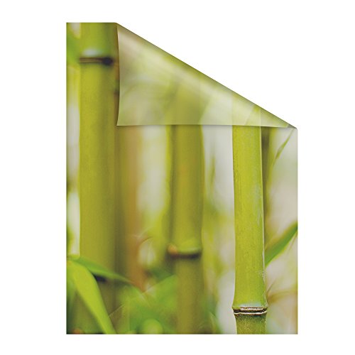 Lichtblick Fensterfolie selbstklebend mit Motiv, Sichtschutz, merhfach Ablösbar, Montage ohne Rakel, Made in Germany Bambus - Grün 100 x 100 cm (B x L) von Lichtblick