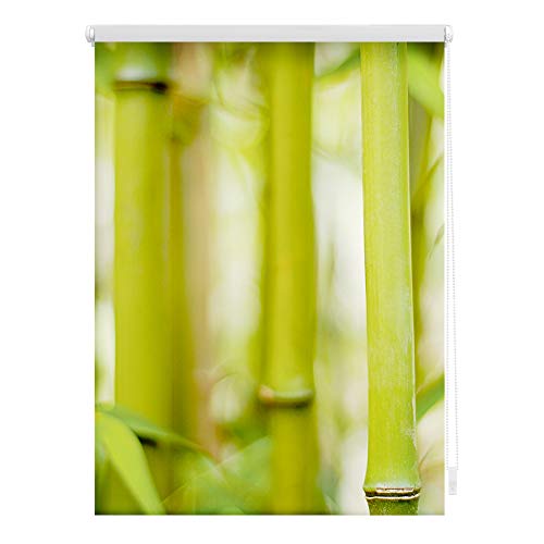 Lichtblick Klemmfix Tageslicht-Rollo mit Motiv, ohne Bohren, Blickdicht, Seitenzugrollo, Made in Germany, Bambus - Grün 60 x 150 cm (B x L) von Lichtblick