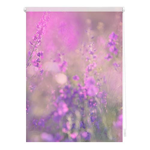 Lichtblick Klemmfix Tageslicht-Rollo mit Motiv, ohne Bohren, Blickdicht, Seitenzugrollo, Made in Germany, Blumenwiese - Fuchsia Violett 80 x 150 cm (B x L) von Lichtblick