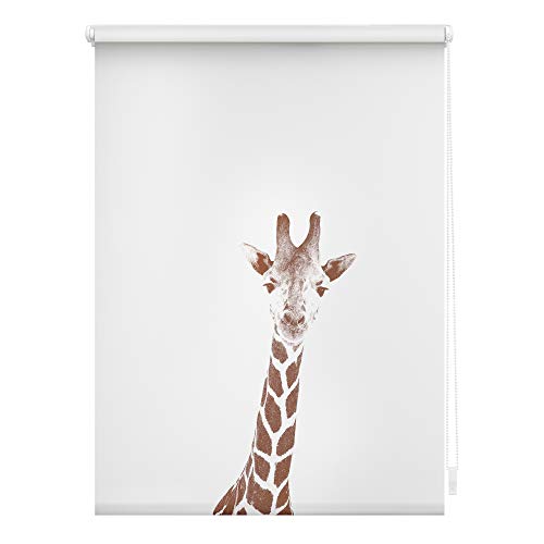 Lichtblick Klemmfix Tageslicht-Rollo mit Motiv, ohne Bohren, Blickdicht, Seitenzugrollo, Made in Germany, Giraffe - Braun 70 x 150 cm (B x L) von Lichtblick