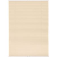 Lichtblick Plissee Klemmfix, ohne Bohren, verspannt - Creme, 90 cm x 130 cm (B x L) von Lichtblick