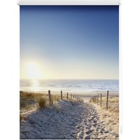 Lichtblick Rollo, Klemmfix, 80x150 cm, Ostseestrand, blau Lichtblick Rollo, Klemmfix, 80x150 cm, Ostseestrand, blau von Lichtblick