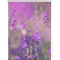 Lichtblick Rollo, ‎‎Klemmfix, 120x150 cm‎, Blumenwiese, fuchsia violett - lila von Lichtblick