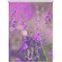 Lichtblick Rollo, ‎‎Klemmfix, 80x150 cm‎, Blumenwiese, fuchsia violett - lila von Lichtblick