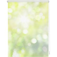 Lichtblick Rollo, Klemmfix, 100x150 cm, Lichtspiel, grün gelb - gruen Lichtblick Rollo, Klemmfix, 100x150 cm, Lichtspiel, grün gelb - gruen von Lichtblick