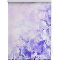 Lichtblick Rollo, Klemmfix, 45x150 cm, Hortensie, lila Lichtblick Rollo, Klemmfix, 45x150 cm, Hortensie, lila von Lichtblick