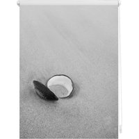 Lichtblick Rollo, Klemmfix, 80x150 cm, Muschel, schwarz weiß - grau Lichtblick Rollo, Klemmfix, 80x150 cm, Muschel, schwarz weiß - grau von Lichtblick