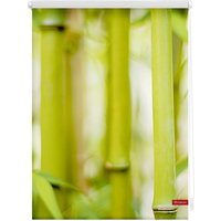 Lichtblick Rollo Klemmfix, ohne Bohren, blickdicht, Bambus - Grün, 100 x 150 cm (B x L) von Lichtblick