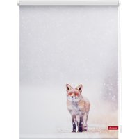 Lichtblick Rollo Klemmfix, ohne Bohren, blickdicht, Fuchs im Schnee - Weiß Rot, 80 cm x 150 cm (B x von Lichtblick