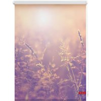 Rollo Klemmfix, ohne Bohren, blickdicht, Sommerabend - Orange, 60 x 150 cm (B x L) von Lichtblick