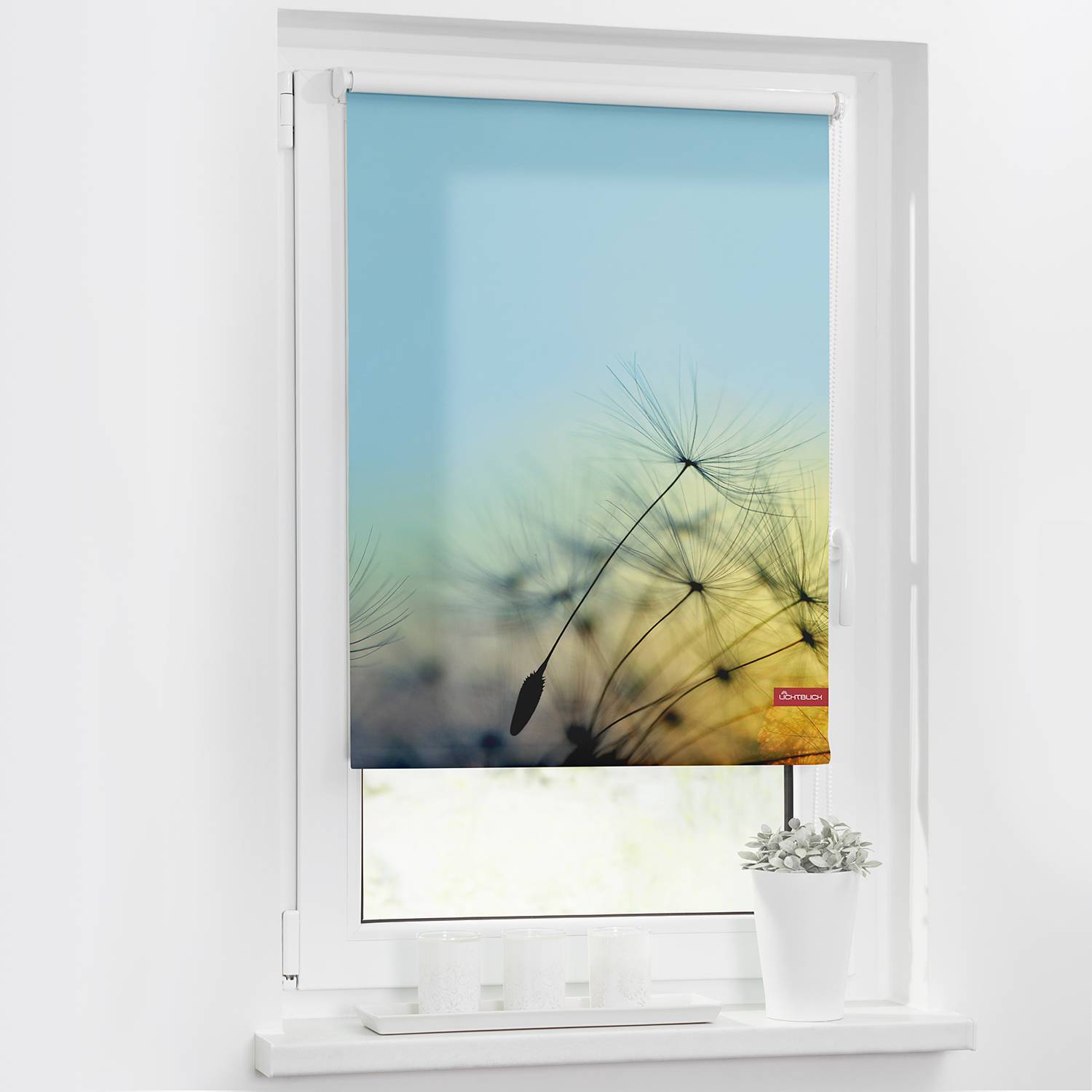 Lichtblick Rollo Pusteblume 45x150 cm (BxH) Hellblau Webstoff von Lichtblick