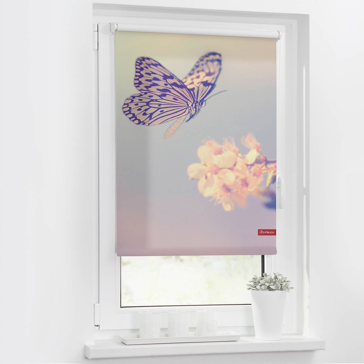 Lichtblick Rollo Schmetterling 60x150 cm (BxH) Pastell Webstoff von Lichtblick