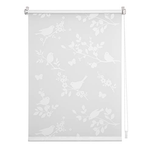 Lichtblick Seitenzugrollo Klemmfix, ohne Bohren, Klemmträger, lichtdurchlässig, Blickdicht, Ausbrenner, weiß-weiß Weiß Pflanze,80 cm x 220 cm (B x L) von Lichtblick