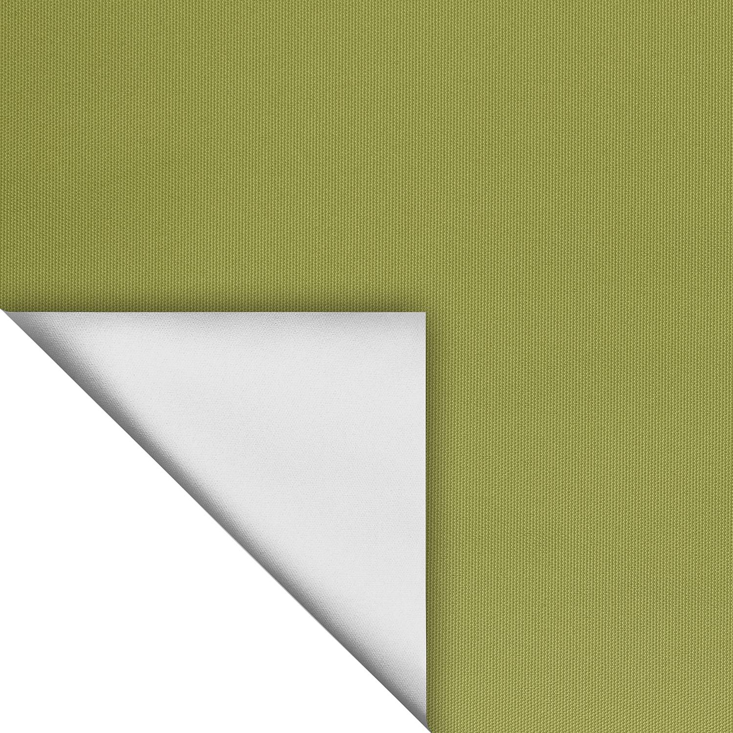 home24 Thermo-Rollo Spotswood VII 70 x 150cm Grün home24 Thermo-Rollo Spotswood VII 70 x 150cm Grün von home24