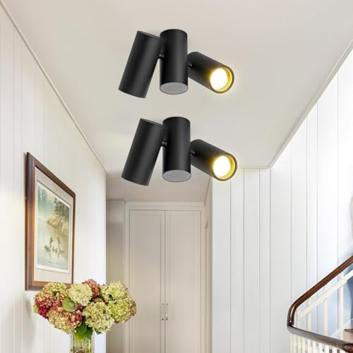 Lichtmaler Deckenstrahler 2 Flammig Schwarz Deckenspots - 2ER Metall Deckenlampe GU10 Modern Schwenkbar 180° Innen Deckenleuchte MAX.25W für Wohnzimmer Flur Schlafzimmer Küche (ohne Leuchtmittel) von Lichtmaler