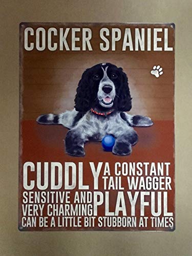Licpact Blechschild Cocker Spaniel, Wanddekoration, 30,5 x 20,3 cm von Licpact